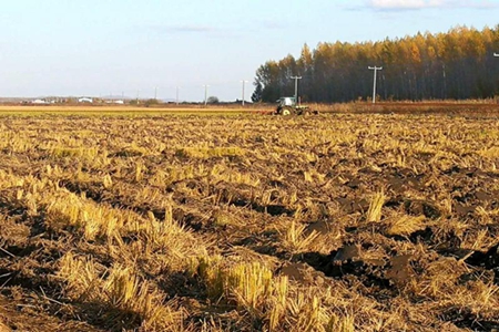 洪河农场有限公司抢字当先争主动 收翻结合提效率