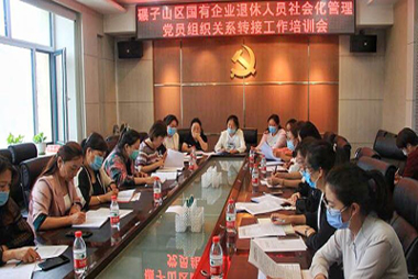 齐齐哈尔市碾子山区着力做好企业退休党员管理工作