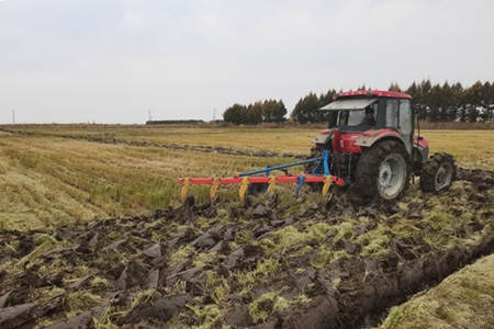 洪河农场开展劳动竞赛 掀起秋收会战新高潮