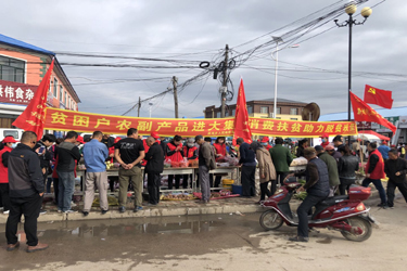 黑龙江龙江县三家子村帮扶工作队谋划产业发展促进乡村振兴