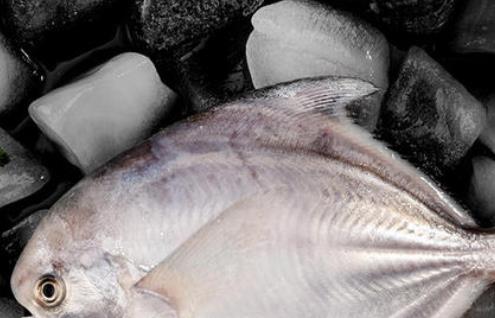 选购冷冻冰鲜食品，记住这4点