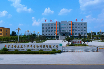 集聚新动能  齐齐哈尔市昂昂溪区推动产业规模效益双提升