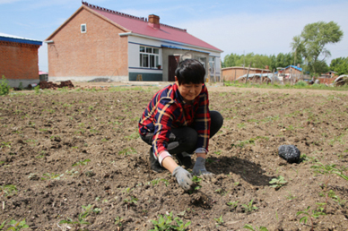 &ldquo;你们来了，我们乐了&rdquo; - 记黑龙江省甘南县产业扶贫技术专家组