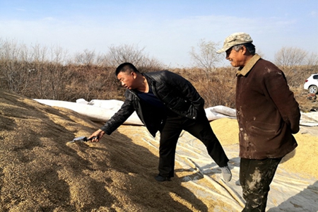 黑龙江洪河农场&ldquo;管家式&rdquo;服务让种植户放心储粮