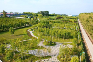 推动高质量发展  克山县力争成为黑龙江省现代农业排头兵