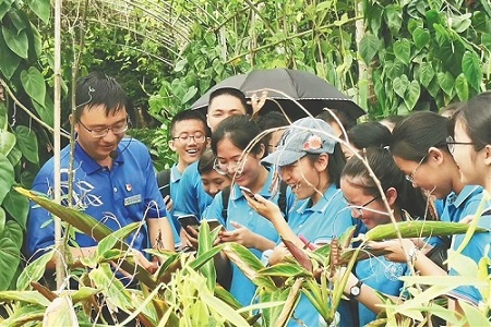 海南兴隆热带植物园博士讲解员：趣说植物故事 让植物“开口说话”