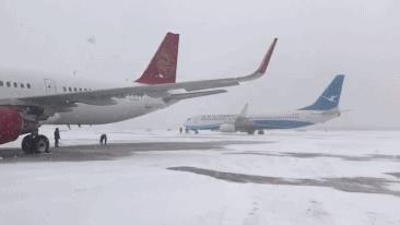 暴雪来袭！哈尔滨机场已取消187架次航班