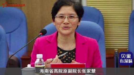 “200亿元资产”何来？海南高院原副院长“交易所得”细探