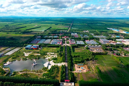 柔性化&rdquo;治理 &ldquo;精细化&rdquo;服务  &mdash;&mdash;黑龙江省洪河农场打造新型城镇侧记