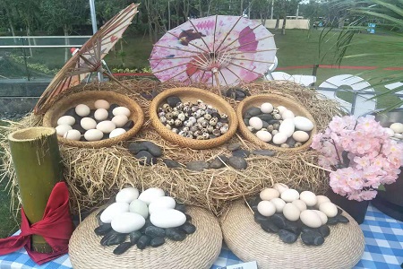 2020海南国际旅游岛欢乐节暨第二届官塘温泉文化旅游消费节正式启动，多种活动促进官塘区域发展