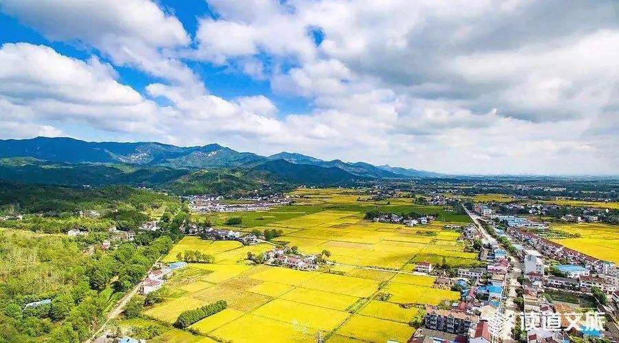 乡村休闲旅游业年营收超8500亿