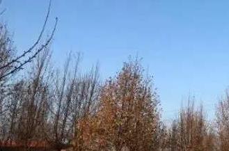 阵风7级！北京丰台等7区发布大风蓝色预警