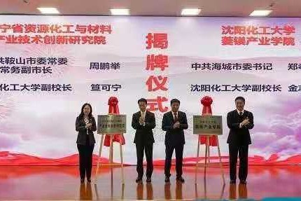 辽宁拉长菱镁资源产品链 驱动千亿级特色产业高质量发展