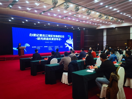 黑龙江海伦大峡谷古生物群遗迹发掘彰显奇石文化魅力