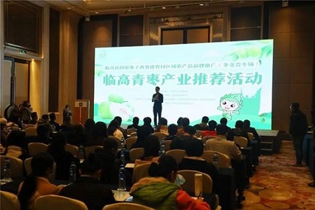 海南临高国家电子商务进农村综合示范县青枣产业推荐活动举行