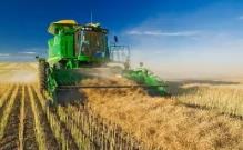 农业科技&ldquo;最强大脑&rdquo;效用显现