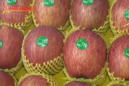 山西运城果业首次亮相海南冬交会丨《2020冬交会》系列报道之十九（总第44期）