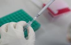 北京新增1例新冠肺炎无症状感染者