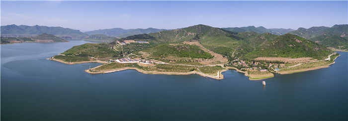 国色天香呈盛景 花开富贵送吉祥