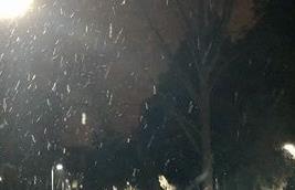 北京迎来2021年首场降雪 道路湿滑需注意安全