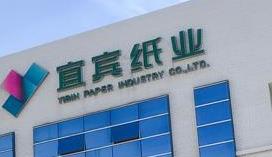 宜宾纸业连续涨停背后 却是业绩预巨亏