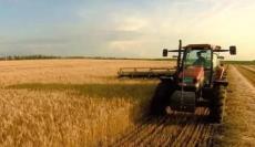 粮食&ldquo;十七连丰&rdquo;背后的育种科技