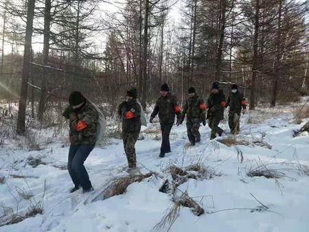 黑龙江绥阳林区的野生动物有一份&ldquo;美食速递&rdquo;