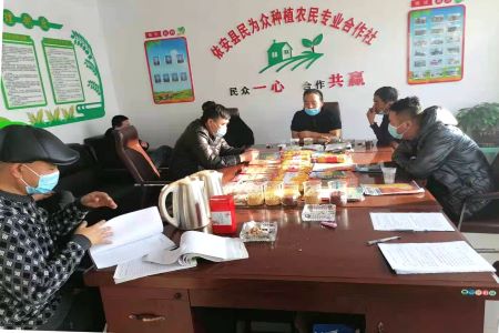 黑龙江依安县：&ldquo;网上备春耕&rdquo;这招挺实用