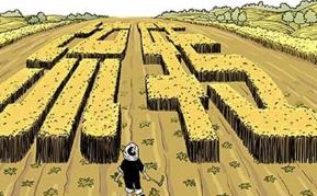 农村土地经营权流转四问