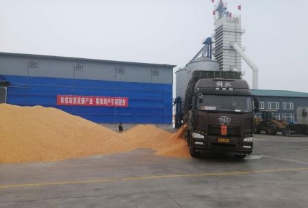 黑龙江拜泉县疫情防控备耕生产两不误