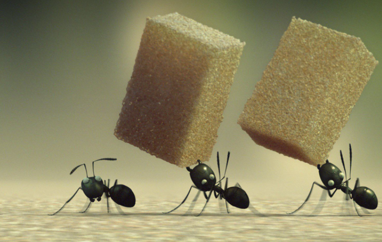 “懒蚂蚁”的启示