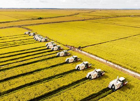 推动农业现代化、农村现代化开好局起好步