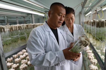 黑龙江依安县胡春城荣获全国脱贫攻坚先进个人称号