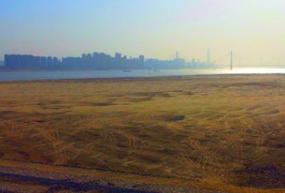 武汉市洪山区市场监管局检查天兴洲禁捕工作