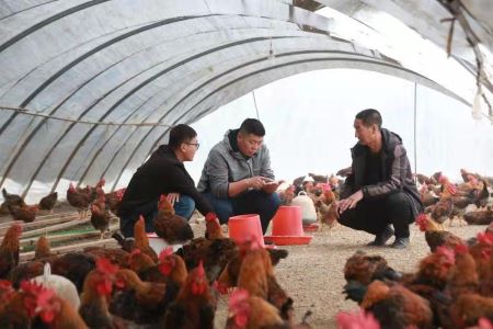 黑龙江甘南县：增进民生福祉 建设&ldquo;幸福甘南&rdquo;