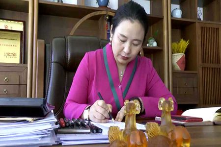 女企业家潘艳辉的奋斗之歌