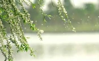 北京发布今年首个杨柳飞絮预报 专家提醒科学防护