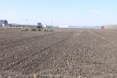 黑龙江富裕县抢抓农时小麦播种工作全面展开