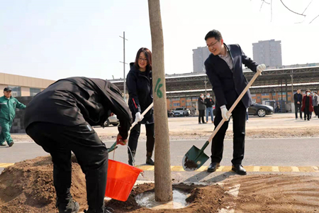 沈阳市大东区开展义务植树活动