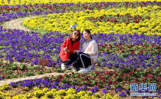 【组图】湖北宜昌：花开满园醉游人 “美丽经济”富村民