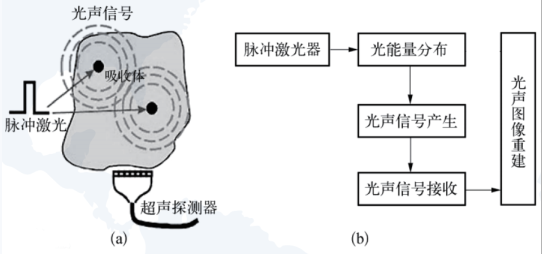 360°全环光声成像设备武汉问世 成像领域将迎来颠覆性革命