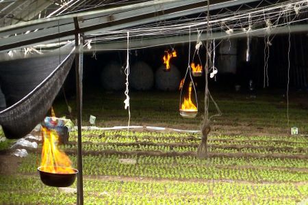 应对极端天气 齐市梅里斯区确保春耕生产顺利进行