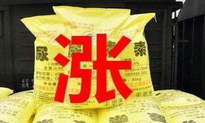 化肥价格上涨何以引发连锁反应