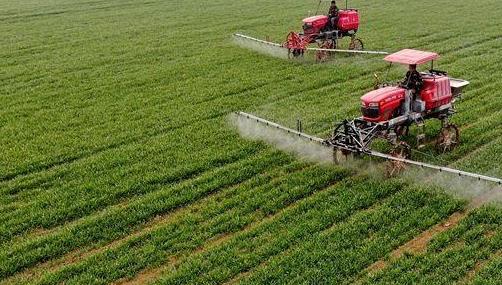 夏粮基础好、春播进展快 我国全年粮食生产开局良好