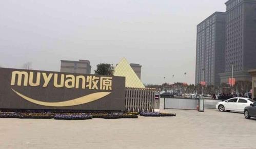 左手养猪右手金融地产 牧原生态圈能否经受住考验？