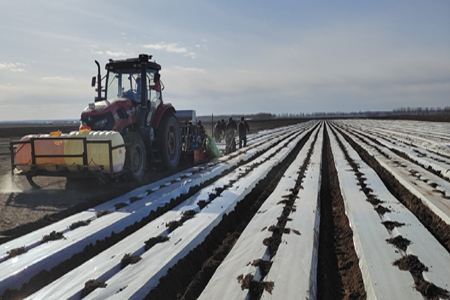 发展特色合作经营 黑龙江龙江县带领农民走上致富路