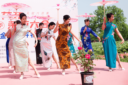 南京“金陵国卉牡丹园”上演千人旗袍秀