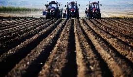 警惕阶段性旱涝灾害！农业农村部部署农业防汛抗旱工作