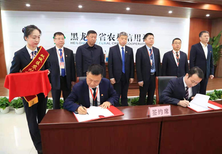 深化银企合作 — 黑龙江省龙睿公司与哈市联社成功签约