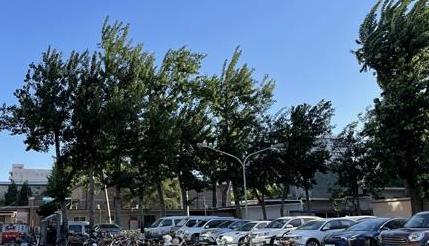 北京今明天大风连刮&ldquo;不下线&rdquo; 局地阵风仍有7级